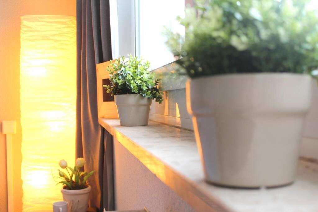 Apartment Bella Chemnitz Dış mekan fotoğraf